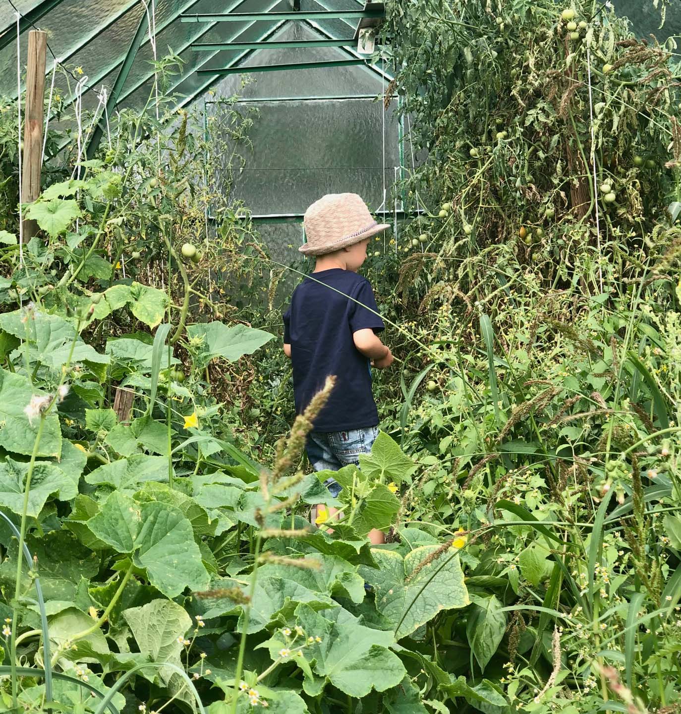 Kashubian Lodge & SPA dla dzieci